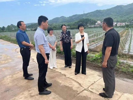 085600-279233.jpg 083336-110505.jpg